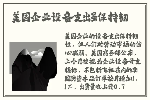 在b站下视频的软件