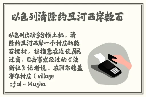 成色好的y31